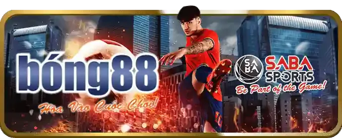 Hệ thống bảo mật linh bong 88
